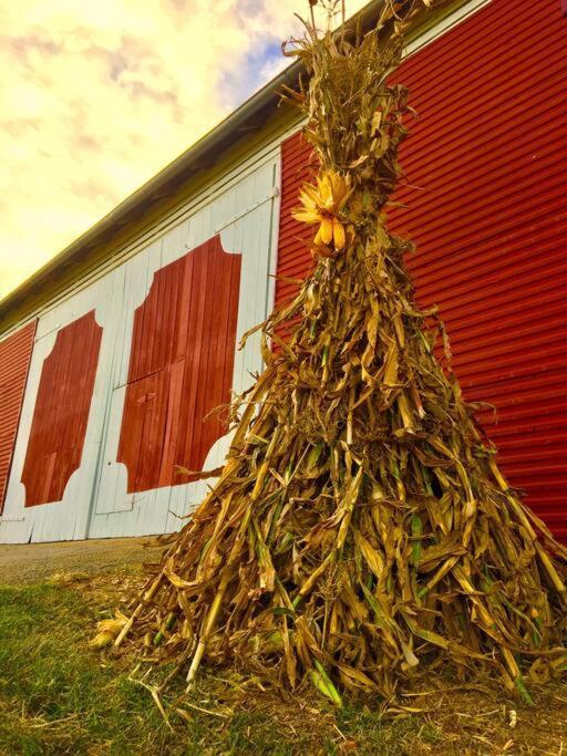 Madeline Farms Vila Luray Exterior foto