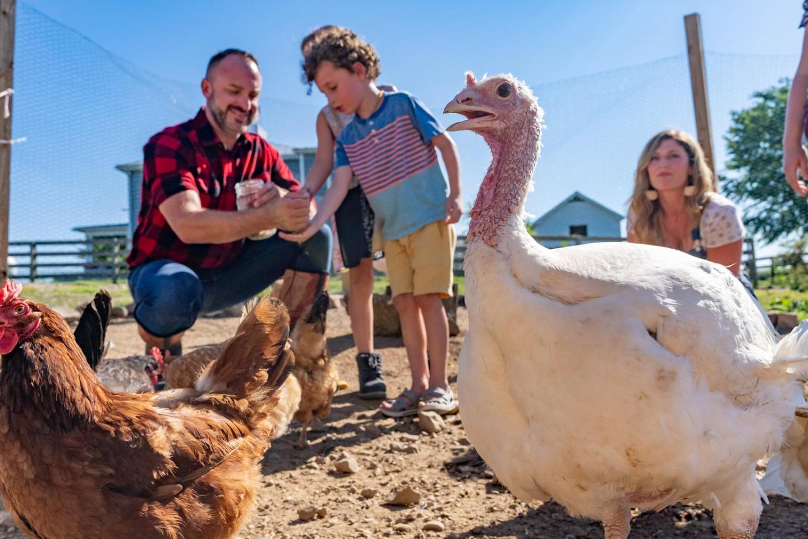 Madeline Farms Vila Luray Exterior foto
